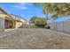 Large backyard featuring mature trees, offering ample space for outdoor activities and privacy at 1258 W Plane Tree Ave, San Tan Valley, AZ 85140