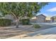 Inviting home exterior with a mature shade tree and xeriscaped yard at 1258 W Plane Tree Ave, San Tan Valley, AZ 85140