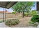 The backyard is surrounded by a brick wall and features decorative gravel and a mature shade tree at 1649 W Royal Palm Rd, Phoenix, AZ 85021