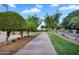 Paved walking path through the community with manicured landscaping and mature trees at 20644 E Sunrise Ct, Queen Creek, AZ 85142