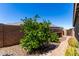 Backyard view showcasing mature trees and a private, enclosed yard with a paved walkway at 23179 S 225Th Pl, Queen Creek, AZ 85142
