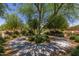 Circular sidewalk surrounding a large shade tree in a community park setting with greenery at 23179 S 225Th Pl, Queen Creek, AZ 85142