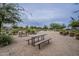Community picnic area with gravel, wooden picnic tables, lush shrubbery and shade trees at 23179 S 225Th Pl, Queen Creek, AZ 85142