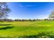 Expansive green space provides a versatile outdoor area for various activities at 2368 E Bellerive Dr, Gilbert, AZ 85298