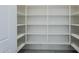 Large white walk-in pantry has ample shelving at 24000 S 218Th Pl, Queen Creek, AZ 85142