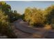 Tranquil community walking path winding through mature trees and desert landscaping at 24000 S 218Th Pl, Queen Creek, AZ 85142