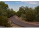 Tranquil walking path surrounded by lush greenery and natural desert landscaping at 24000 S 218Th Pl, Queen Creek, AZ 85142