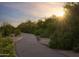 Scenic community walking path surrounded by lush desert vegetation and sunset views at 24000 S 218Th Pl, Queen Creek, AZ 85142