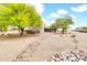 A spacious backyard featuring desert landscaping with lush mature trees and rocky accents at 27347 N Gary Rd, San Tan Valley, AZ 85144