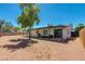 Large backyard with patio, featuring a well-maintained exterior and shade from mature tree at 343 S Cholla St, Gilbert, AZ 85233