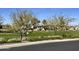 Attractive community featuring lush landscaping and green spaces at 4051 S Galaxy Ln, Mesa, AZ 85212