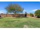 Secluded backyard with lush green grass, shade tree, and perimeter fence at 540 W La Donna Dr, Tempe, AZ 85283