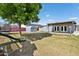 Large backyard with mature tree, storage shed, and covered patio at 6814 N 14Th St, Phoenix, AZ 85014