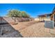 Spacious backyard featuring gravel landscaping, block fence, shade trees and a covered patio at 10541 W Foothill Dr, Peoria, AZ 85383