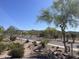View down a tree lined street with desert landscaping and mountains in the background under a blue sky at 18427 E Verde Ct, Gold Canyon, AZ 85118