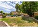 Spacious backyard with lush lawn, mature landscaping, and a sparkling swimming pool at 2302 S Canfield --, Mesa, AZ 85209