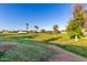 A grassy area with trees and views of homes in the distance at 2419 E Billings St, Mesa, AZ 85213