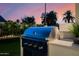 Close-up view of an outdoor grill set against a scenic backdrop of palm trees and a colorful sky at 3301 E Elm St, Phoenix, AZ 85018