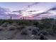 Desert view with native plants and skyline views at dusk at 3648 N Sky Point Cir, Mesa, AZ 85207