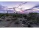 Desert view with native plants and skyline views at dusk at 3648 N Sky Point Cir, Mesa, AZ 85207