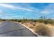 Desert street view of a vacant lot with native vegetation and mountain views at 3648 N Sky Point Cir, Mesa, AZ 85207