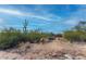 Desert vacant land with native vegetation including Saguaro cactus and open space at 3648 N Sky Point Cir, Mesa, AZ 85207