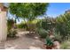 Backyard landscaping with flowering bushes, rock features, and paved path at 4234 E Narrowleaf Dr, Gilbert, AZ 85298