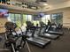 Bright fitness center showcasing treadmills, elliptical machines, and scenic outdoor views at 4234 E Narrowleaf Dr, Gilbert, AZ 85298