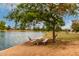 Picturesque lakeside picnic area with a picnic table, perfect for enjoying outdoor meals at 5037 N 81St St, Scottsdale, AZ 85250