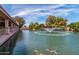 Picturesque pond featuring a fountain, koi fish, and a duck swimming on a sunny day at 129 Leisure World --, Mesa, AZ 85206