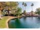 Lakeside backyard featuring a well-maintained lawn, mature trees, and private waterfront access at 1591 S Sycamore Pl, Chandler, AZ 85286
