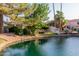 Beautiful backyard lake with a landscaped waterfront, mature trees, and a charming deck at 1591 S Sycamore Pl, Chandler, AZ 85286