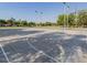 Outdoor basketball court with hoops and poles is perfect for an afternoon game at 1591 S Sycamore Pl, Chandler, AZ 85286