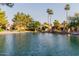 Beautiful view of the community lake, with swaying palm trees and landscaped yards at 1591 S Sycamore Pl, Chandler, AZ 85286