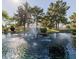 Scenic pond with a fountain offers beautiful views; community features many outdoor amenities at 1591 S Sycamore Pl, Chandler, AZ 85286