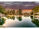 Scenic water view reflecting the sunset and trees in a serene and peaceful environment at 1591 S Sycamore Pl, Chandler, AZ 85286