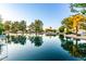 Picturesque pond view reflecting mature trees, landscaping, and blue skies at 1591 S Sycamore Pl, Chandler, AZ 85286