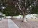 A gravel walkway leads to a community pool surrounded by mature trees and lush landscaping at 1702 W Tuckey Ln # 209, Phoenix, AZ 85015