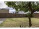 Large backyard featuring mature shade tree and block wall perimeter at 42006 W Hillman Dr, Maricopa, AZ 85138