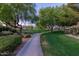 Well-maintained walking path winding through lush green space and mature trees at 4626 E Blue Spruce Ln, Gilbert, AZ 85298