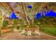 Beautifully landscaped backyard with paver patio, mature trees, flowering plants, and accent lighting at 8748 W Maui Ln, Peoria, AZ 85381