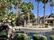 Scenic view of the community pool surrounded by lush landscaping and palm trees at 10015 E Mountain View Rd # 2034, Scottsdale, AZ 85258
