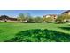 Scenic green space with well-manicured lawn and mature trees, perfect for walking dogs or relaxing at 10136 E Southern Ave # 3091, Mesa, AZ 85209