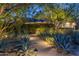Evening shot of a landscaped pathway with desert plants leading to the home, highlighted by outdoor lighting at 10179 E Camelot Ct, Scottsdale, AZ 85255
