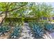 Landscaped pathway with desert plants and trees leading to the home at 10179 E Camelot Ct, Scottsdale, AZ 85255