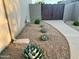 A beautifully landscaped side yard features desert plants and a walkway to a wooden gate at 12753 W Vista Paseo Dr, Litchfield Park, AZ 85340