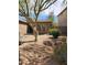 Inviting front yard featuring desert landscaping with rocks and flowering bushes under a shady tree at 1333 E Cecil Ct, Casa Grande, AZ 85122