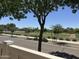 Street view featuring a white fence, small trees, and green landscaping at 1492 S Pike Ln, Gilbert, AZ 85296
