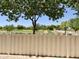 Backyard view featuring a garden area, mature trees, a white fence, and blue sky at 1492 S Pike Ln, Gilbert, AZ 85296