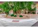 Corner lot home featuring mature trees and landscaping on a beautiful day at 15237 S 19Th Way, Phoenix, AZ 85048